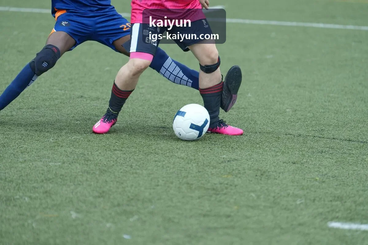 kaiyun稳定保障方案封面